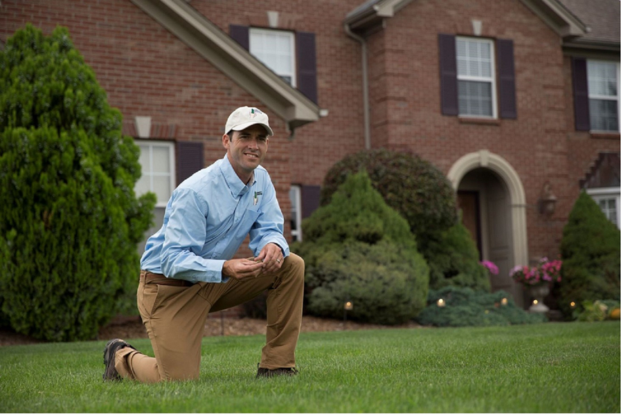 Cover photo of Lawn Doctor of Virginia Beach